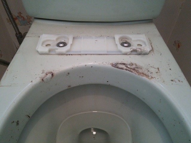 清掃内容：ハウスクリーニング　トイレの便器