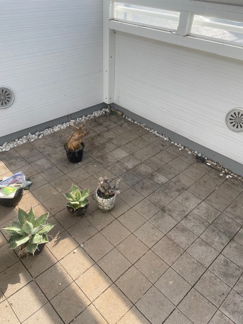 戸建てルーフバルコニーのウッドデッキ リフォーム工事